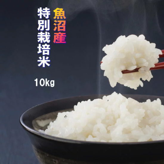 お米 令和2年魚沼産コシヒカリ白米 玄米お米ご注文