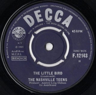 THE NASHVILLE TEENS - The Little Bird