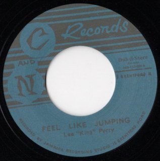 LEE PERRY - Feel Like Jumping