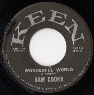 SAM COOKE - Wonderful World