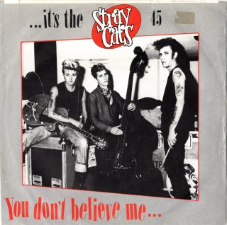<img class='new_mark_img1' src='https://img.shop-pro.jp/img/new/icons15.gif' style='border:none;display:inline;margin:0px;padding:0px;width:auto;' />STRAY CATS - You Don't Believe Me...