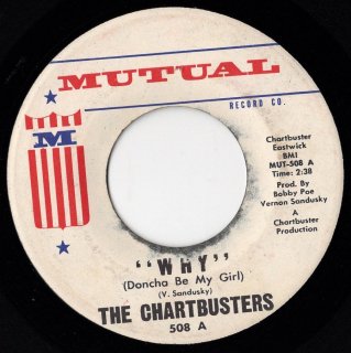 <img class='new_mark_img1' src='https://img.shop-pro.jp/img/new/icons15.gif' style='border:none;display:inline;margin:0px;padding:0px;width:auto;' />THE CHARTBUSTERS - Why