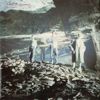 <img class='new_mark_img1' src='https://img.shop-pro.jp/img/new/icons15.gif' style='border:none;display:inline;margin:0px;padding:0px;width:auto;' />ECHO & THE BUNNYMEN - Silver