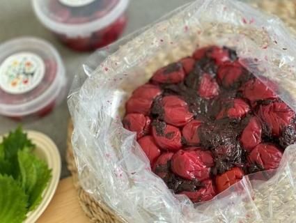 紫蘇南高梅干し | 和歌山県産 - 梅、青梅、みかん、晩柑、オレンジ