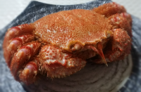 觤ӥˡ1500g