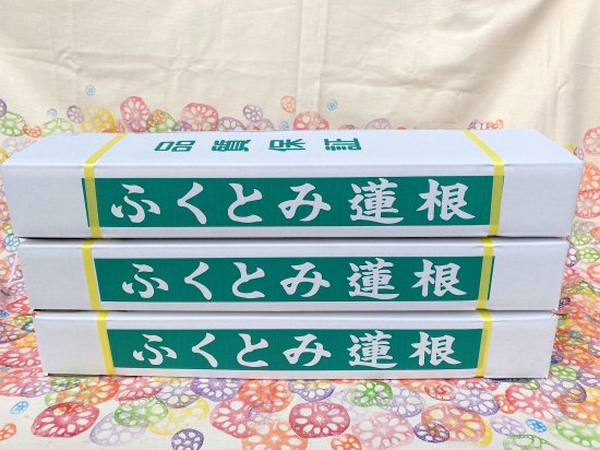 れんこん３キロ箱入り×３箱】 佐賀県白石町福富の採れたてれんこん