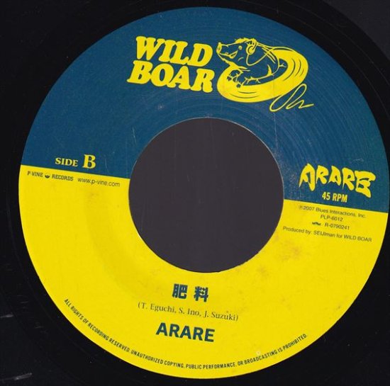 超美品の ARARE ARARE レゲエ狂のうた ジャパレゲ レコード REGGAE 