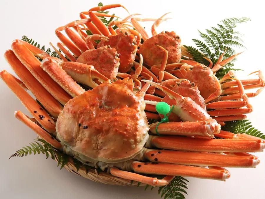 觡ʥܥإåȡ­·ʴֿͤ1ɤܤ5ɤΥåȡ