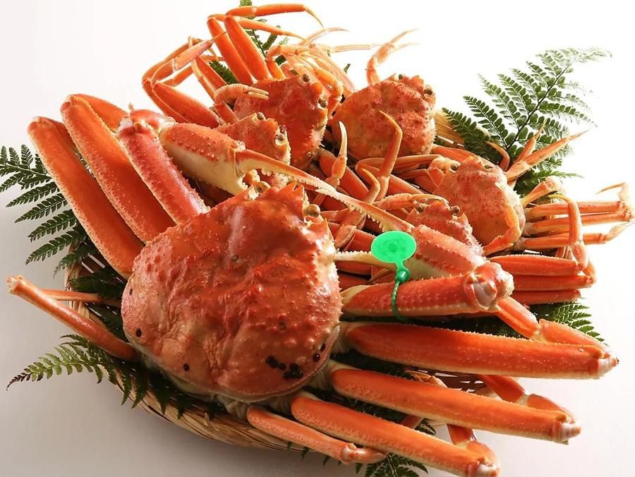 觡ʥܥإåȡʴֿͤ1ɤܤ5ɤΥåȡ