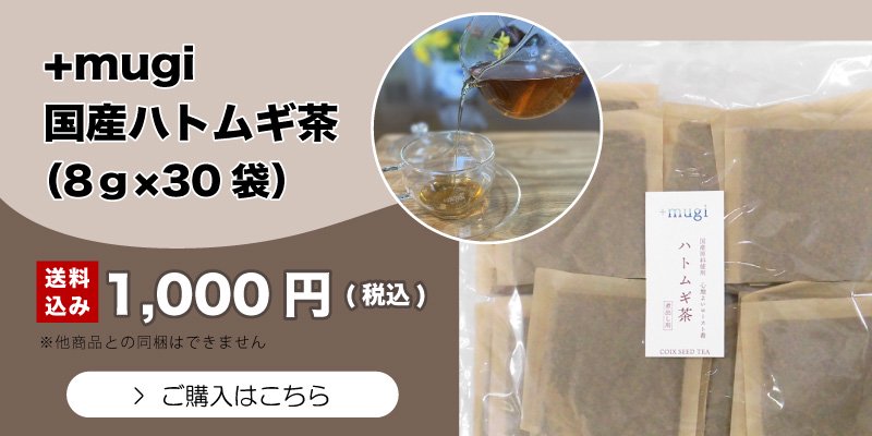 販売済み はとむぎ茶 化粧水