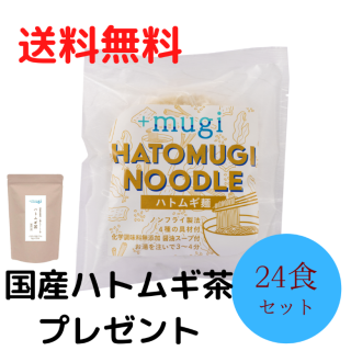 ハトムギ麺×24食　夏の生活応援キャンペーン!!　24％OFF   送料無料！　       国産ハトムギ茶プレゼント！