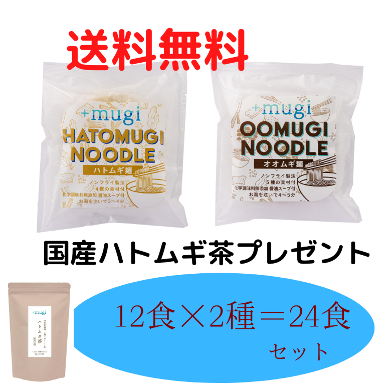 ハトムギ麺 12食 オオムギ麺 12食 生活応援キャンペーン 24 Off 送料無料 国産ハトムギ茶プレゼント Mugi プラスムギ はとむぎ企業が厳選したハトムギエキスを使用