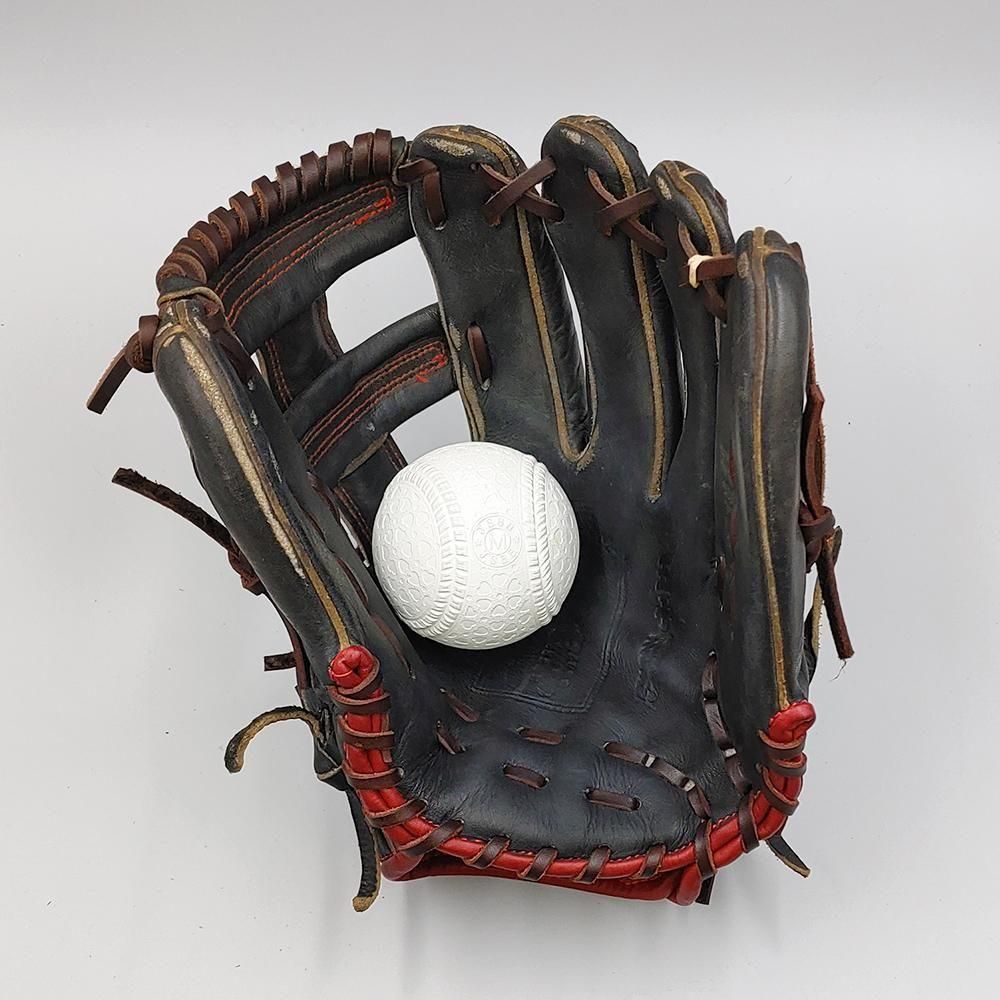 ڥǥᥤѤߡ ߷ 𼰥 /  դѤ (tamazawa )[WE1423]