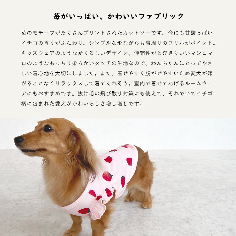 犬服恋いちごのセットイントレーナー犬服  （胴回り33〜49センチ）