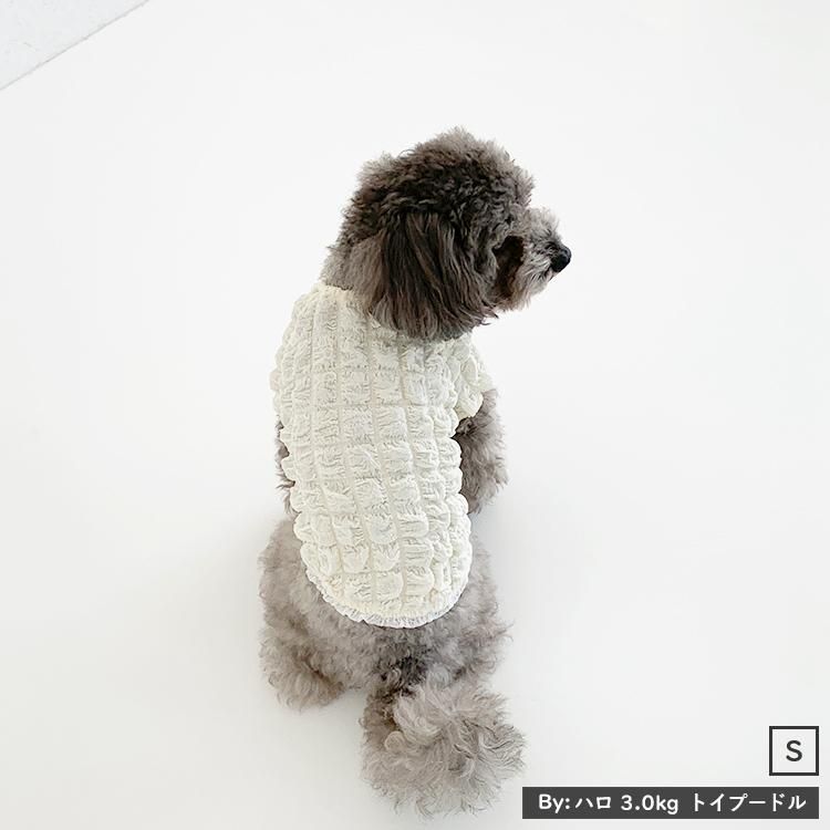 犬服 3S わんこの普段着　ポップコーン 犬服 3S わんこの普段着ポップコーン