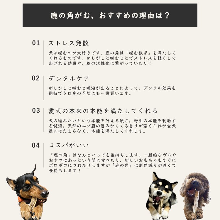 まとめ買いがお得！】 【送料無料】 小型犬～中型犬 約20cm～22cm 北海道 エゾ鹿 鹿の角（半割りタイプ）