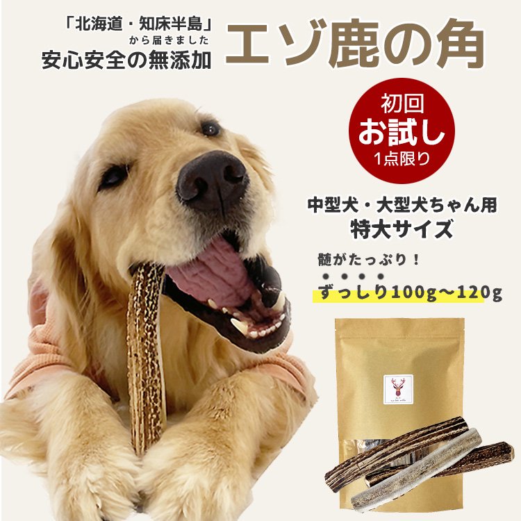 鹿の角 お試し初回購入限定 | 中型犬～大型犬 20cm～22cm 犬 北海道産 半割り - インテリア雑貨・ファッション・ペットグッズ 通販  ＜gray dogs＞