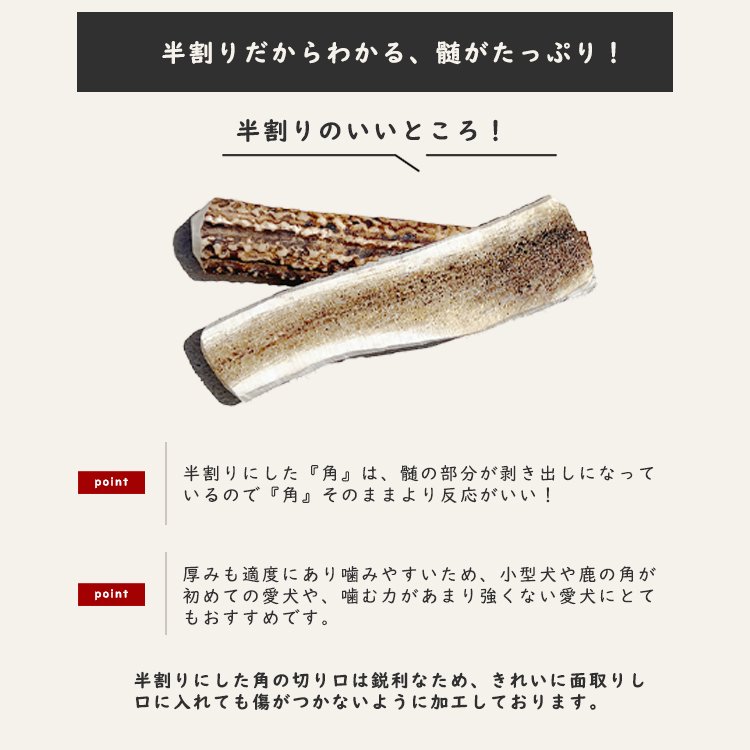 鹿の角 お試し初回購入限定 | 中型犬～大型犬 20cm～22cm 犬 北海道産 半割り - インテリア雑貨・ファッション・ペットグッズ 通販  ＜gray dogs＞