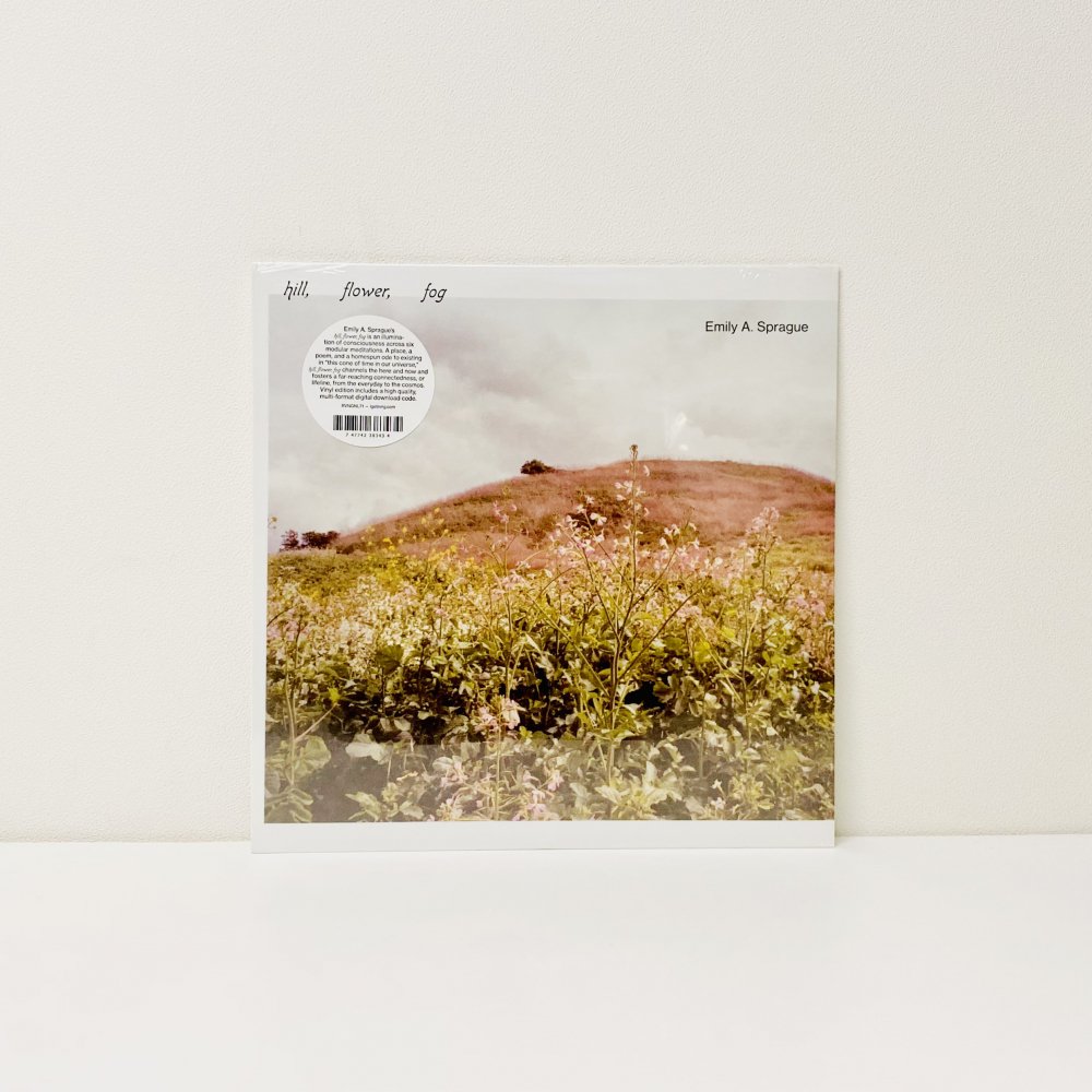 Hill, Flower, Fog [vinyl]