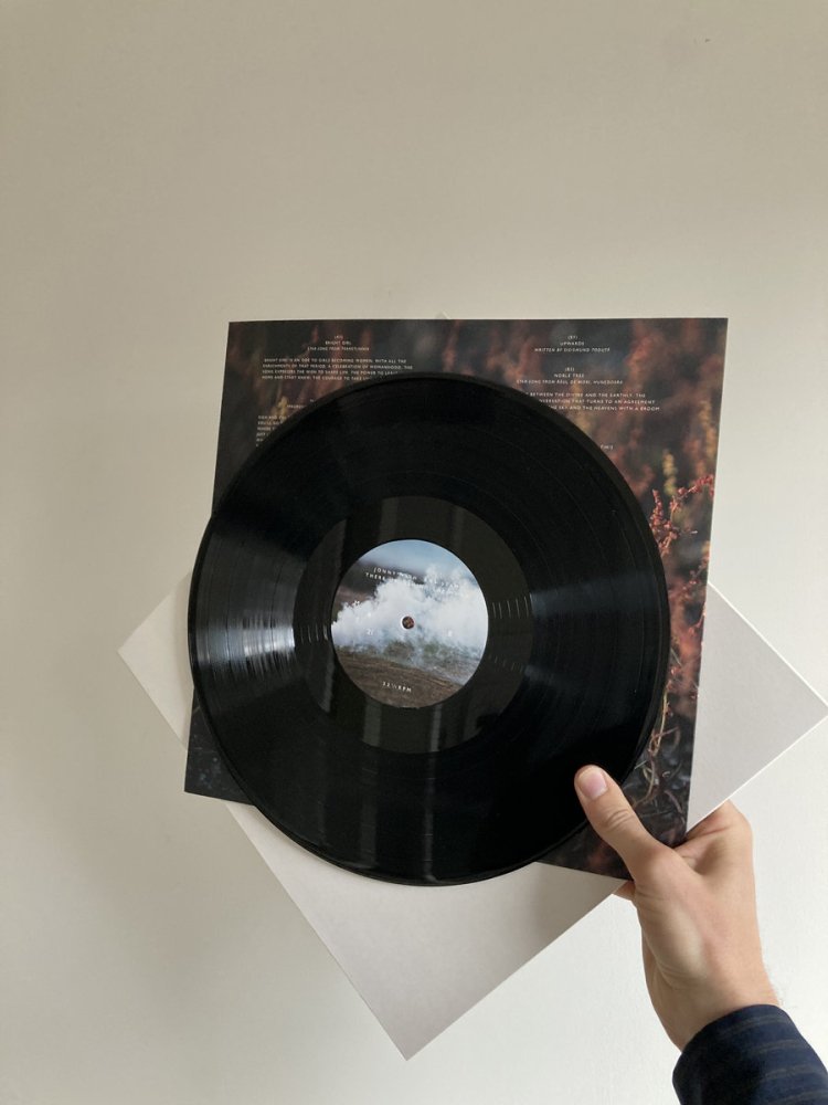  There Up,Behind The Moon [vinyl]