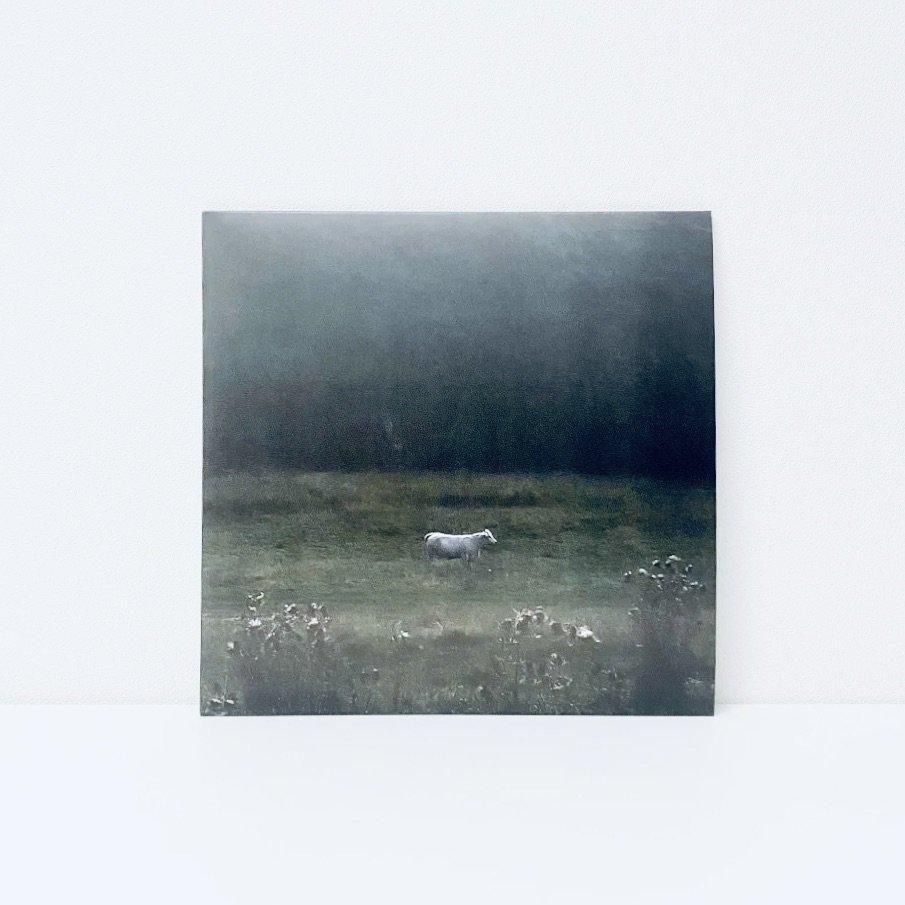 Ulla - Kankyo Records