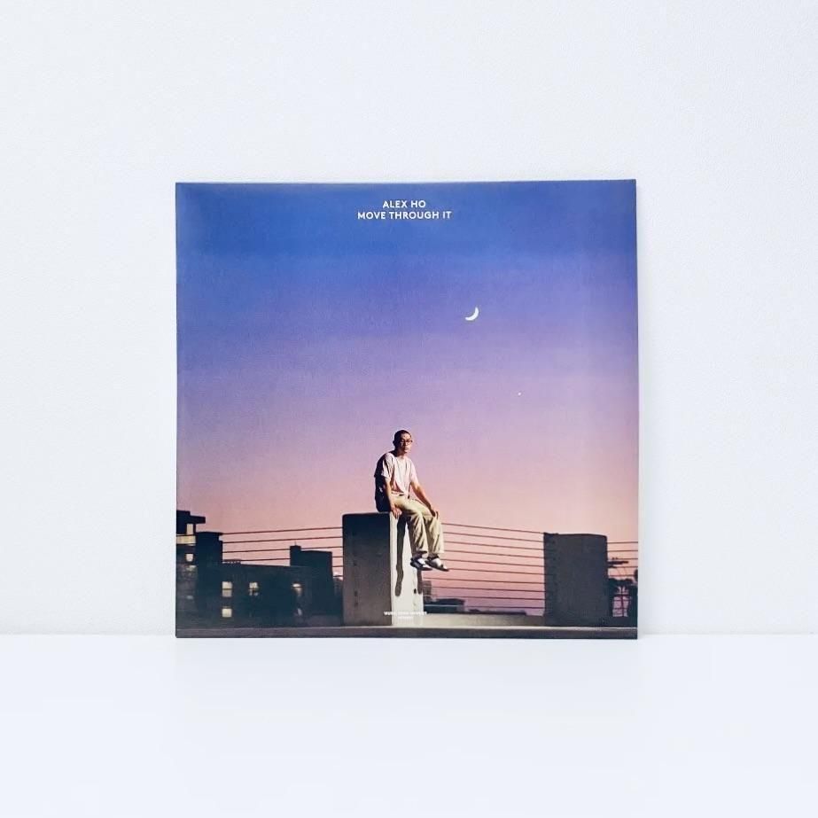 MOVE THROUGH IT [vinyl]