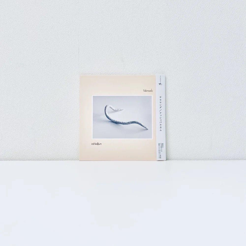 SPECTRUM & PRISM レコード 5枚 /和製E,W&F 元 四人囃子 artist - Kankyo Records