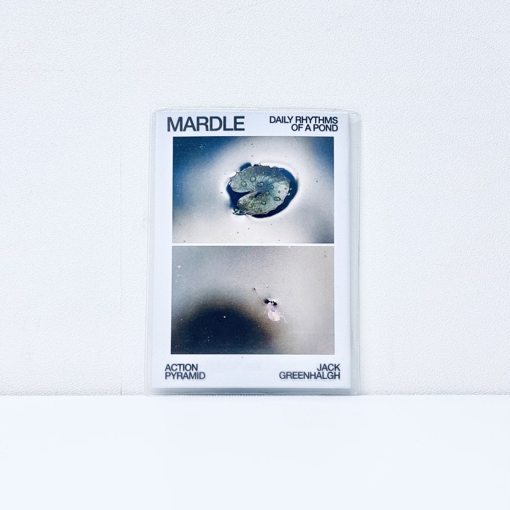 Mardle: Daily Rhythms of a Pond [cd+poster]