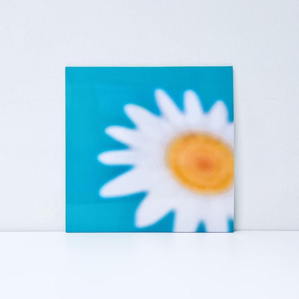 Ulla Straus - Kankyo Records