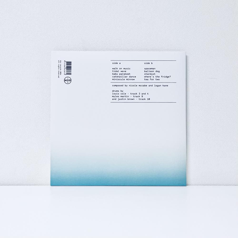 What is my Porpoise?[vinyl] - Kankyo Records
