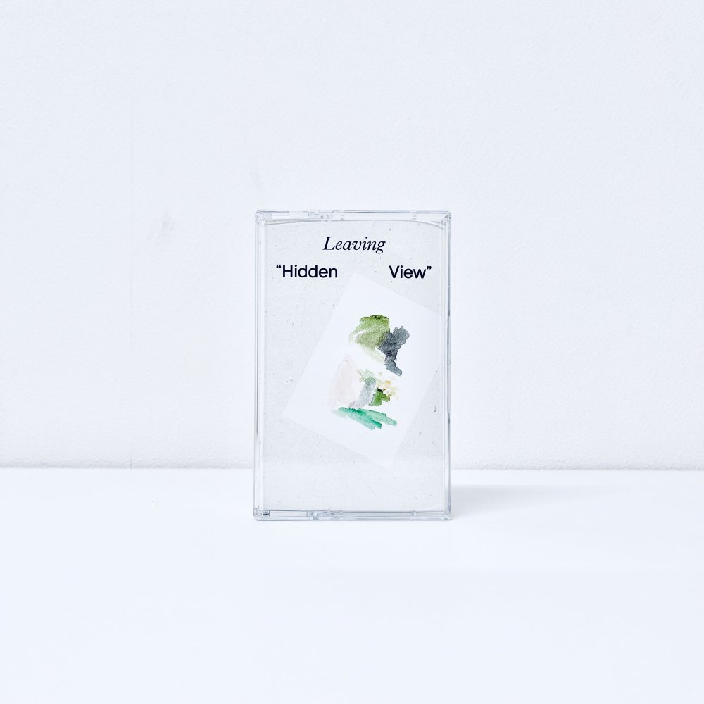 Hidden View [Cassette]