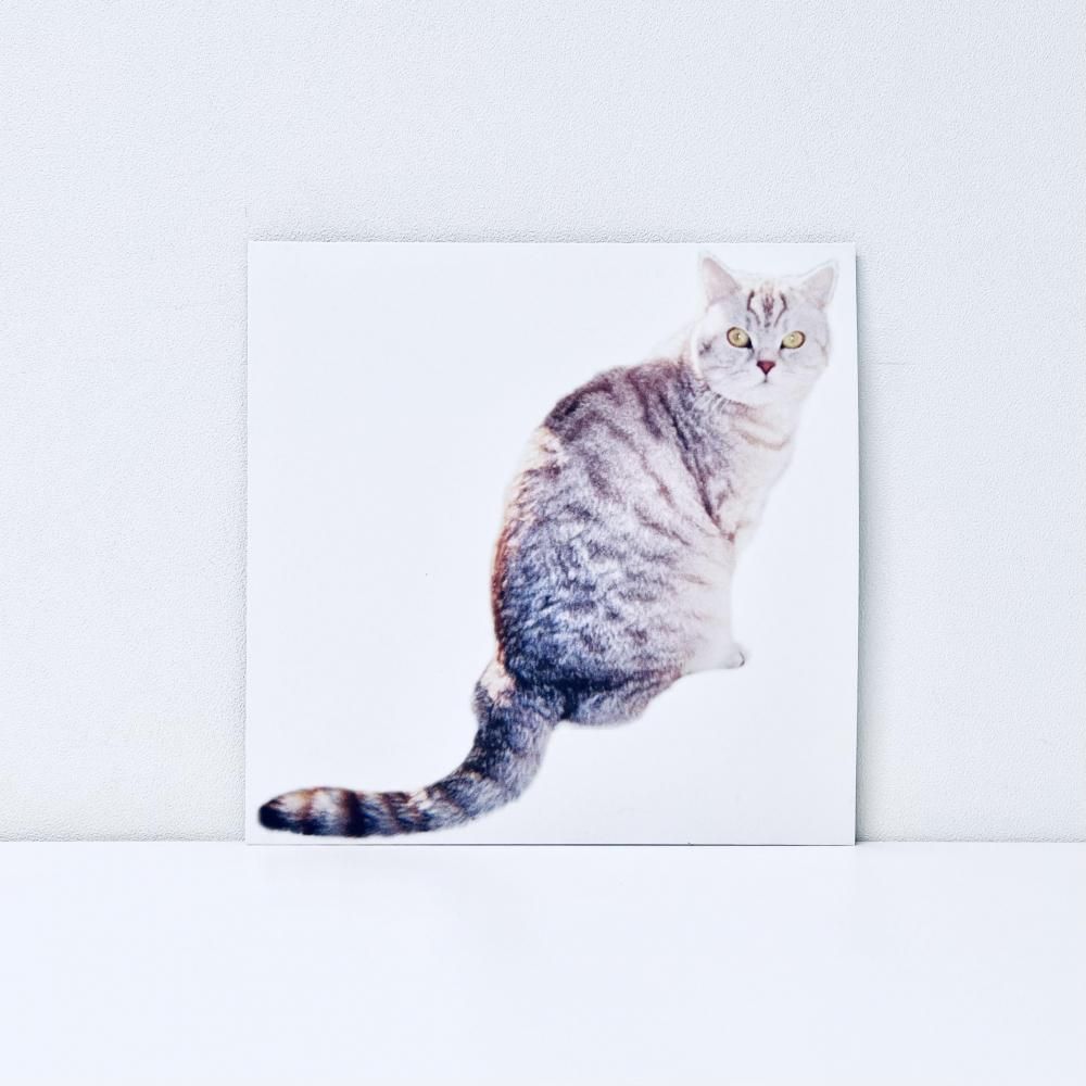 濱瀬元彦 - ♯Notes Of Forestry レコード Notes of Forestry [Vinyl] - Kankyo Records