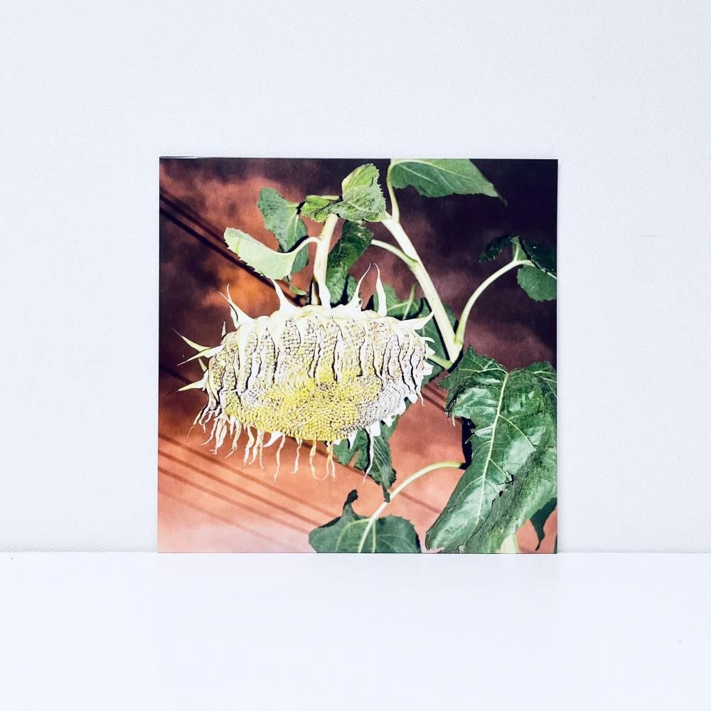 Play - Kankyo Records