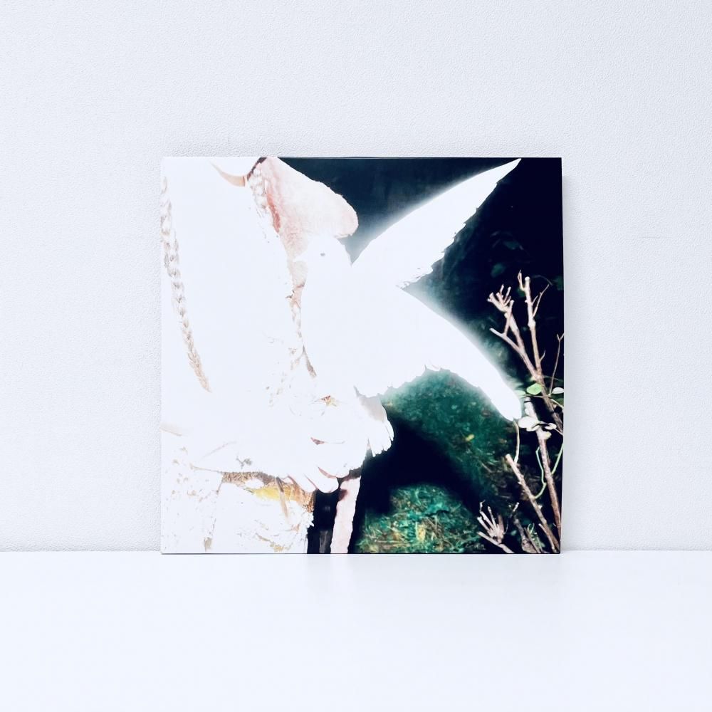 洋楽 2020 (COLOR VINYL) 洋楽 2020 (COLOR VINYL) 洋楽 2020 (COLOR VINYL) Amazon.com