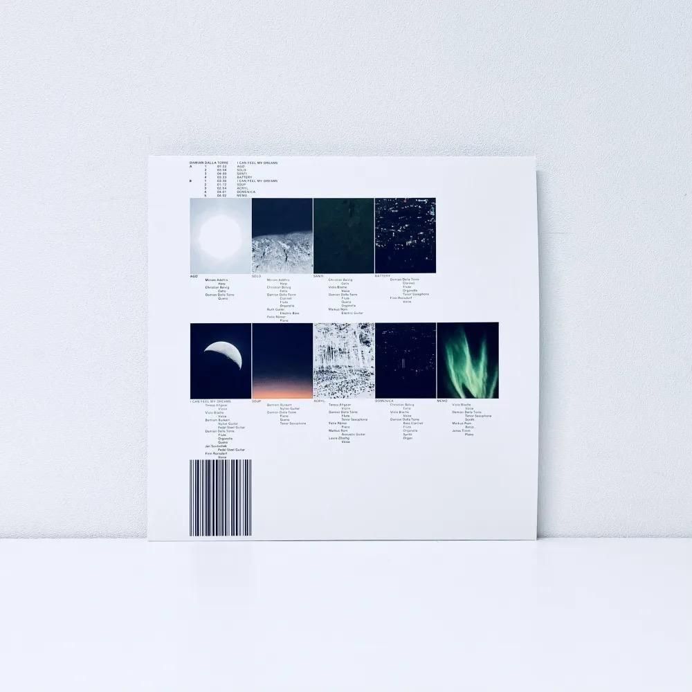 I Can Feel My Dreams [Vinyl]
