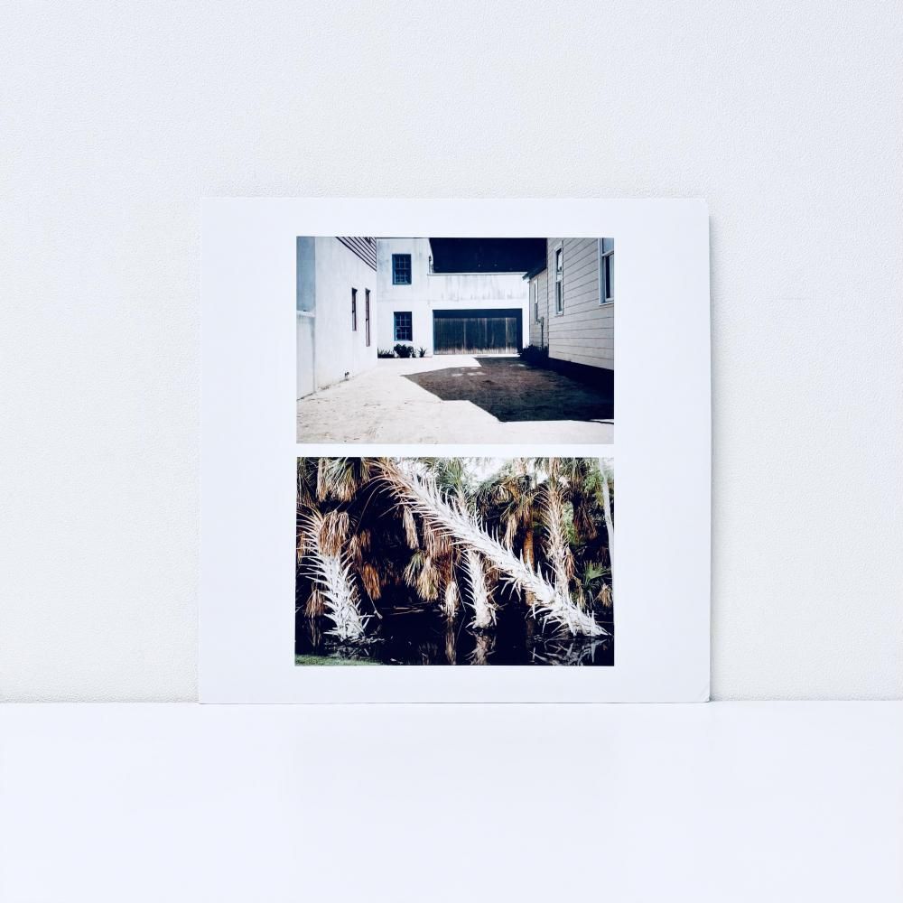 The Vestige [vinyl]