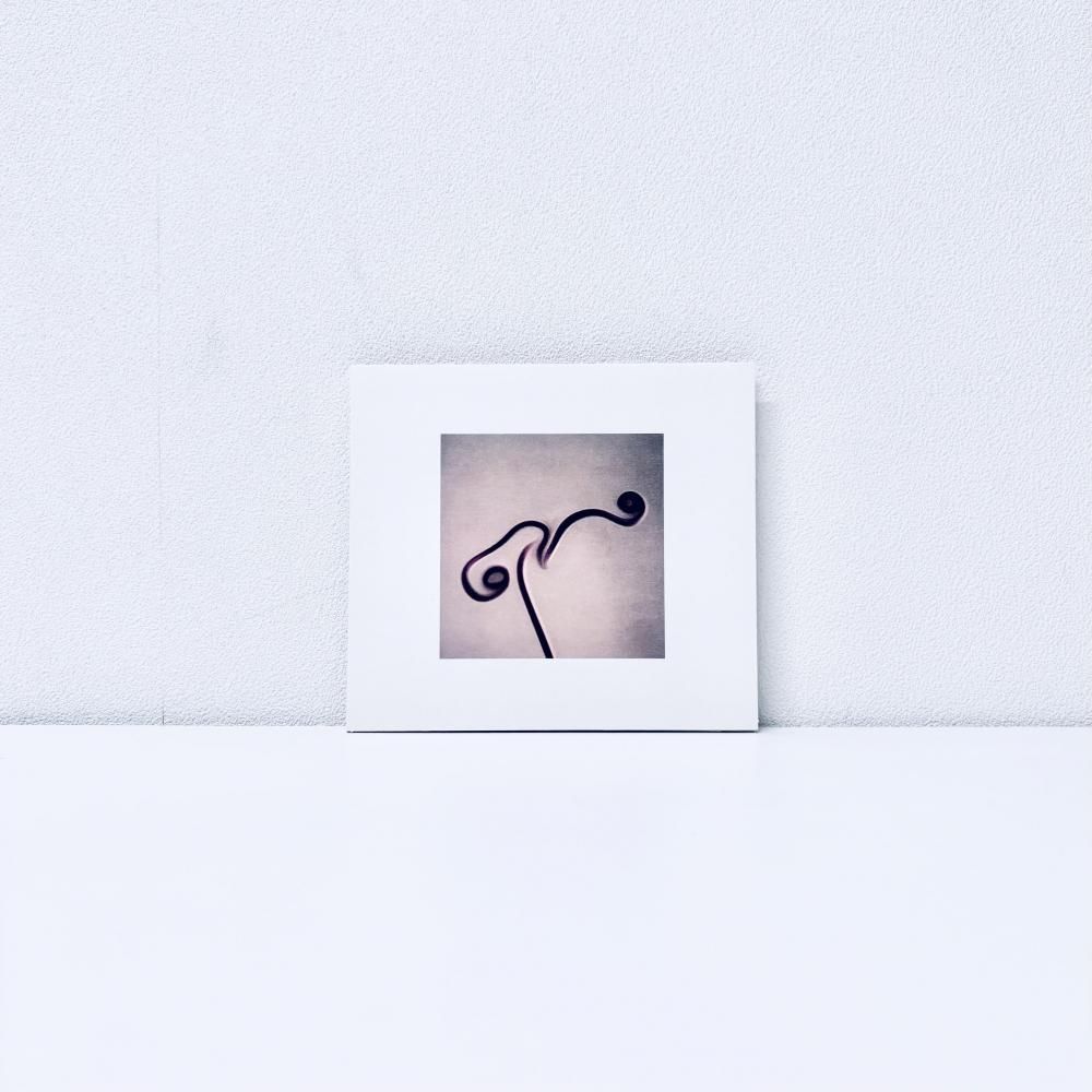 【売約済】フジ子・ヘミング／カーネギー・ホール・ライヴ 2001 売約済】フジ子・ヘミング／カーネギー・ホール・ライヴ 2001