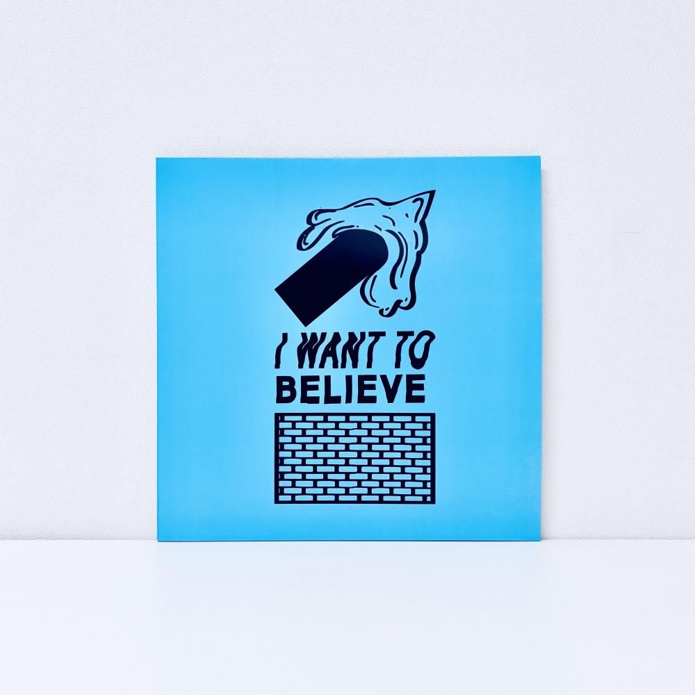 I Want To Believe [Vinyl]