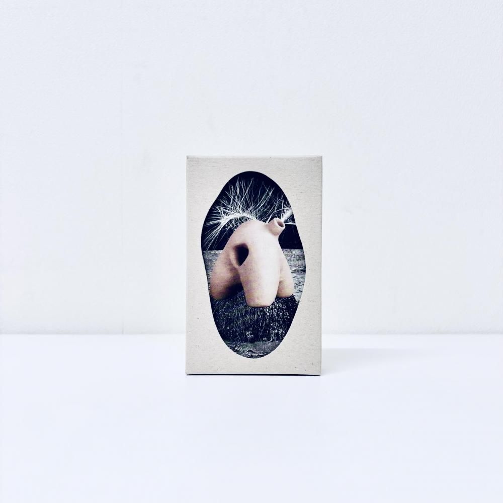 Clay Bodies [Cassette]