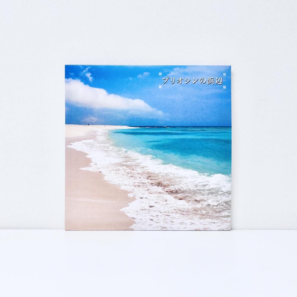 Beach of the Pliocene [Vinyl]