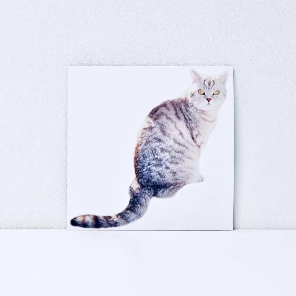 What I Am And What I'm Not [Vinyl]