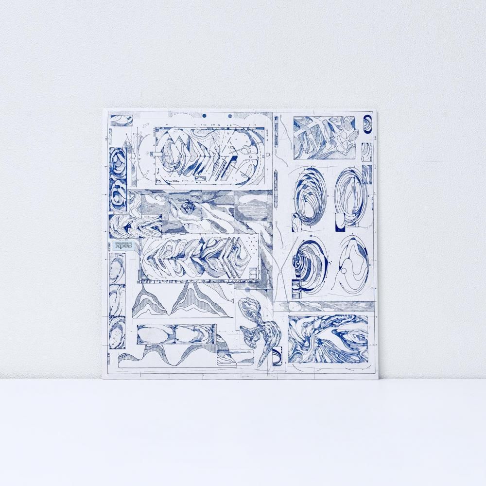 Reverse Acceleration of Dragons [Vinyl]