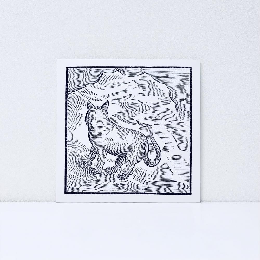 Kansai Bruises [Vinyl]