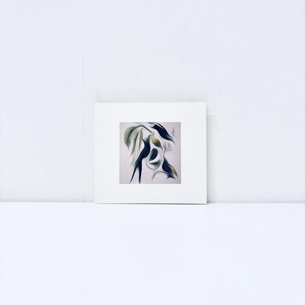 Sakura ( Skintone Edition ) [CD]