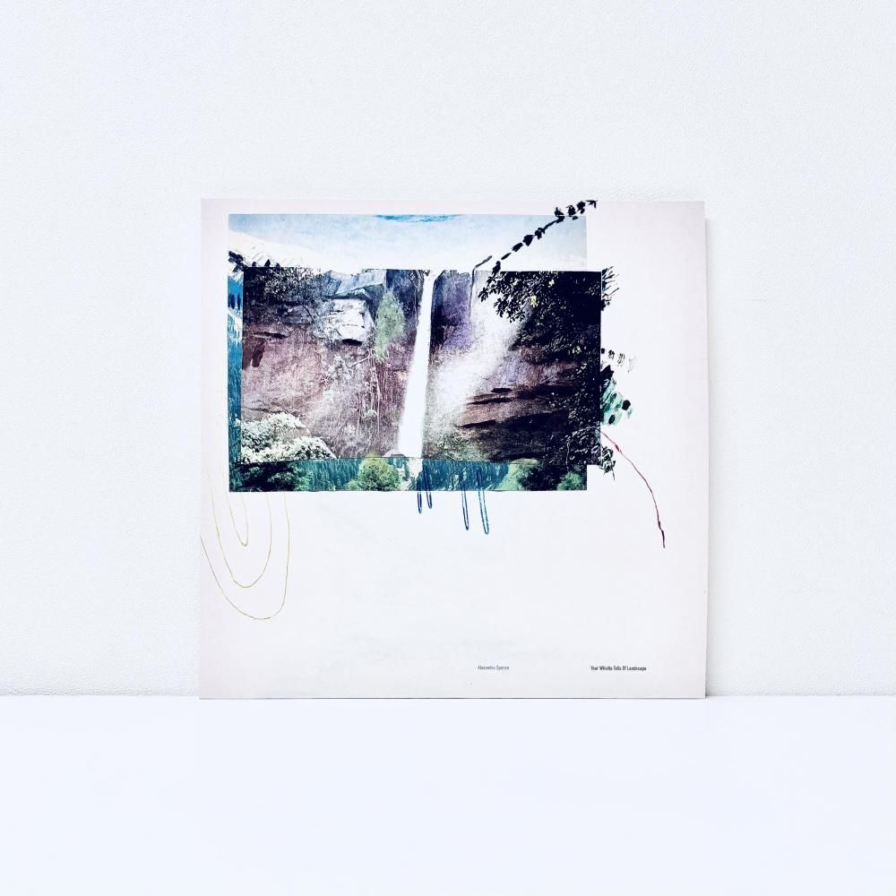 Your Whistle Tells Of Landscape [Vinyl]