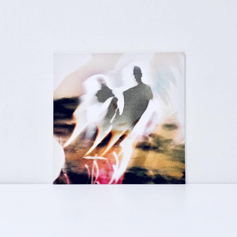 Uncommon & Fragile [Vinyl]