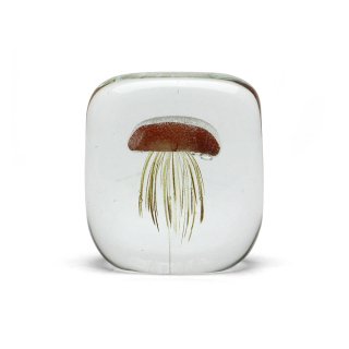 HERE ҥ / Jellyfish Paper Weight "Square" ڡѡ