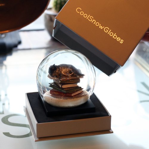 Cool Snow Globes クールスノーグローブス / 「Cat on books」 スノー