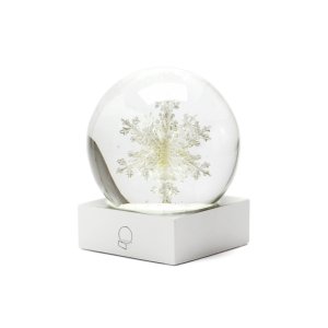 Cool Snow Globes 륹Ρ֥ / Snow flake Ρɡ