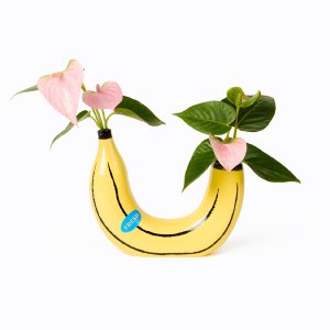 DOIY ɡ / Banana Flower Vase ե١